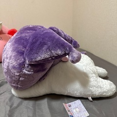 クロミの画像