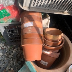 植木鉢　5号以下の小物の画像