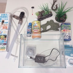 始めて飼育簡単一式セットの画像