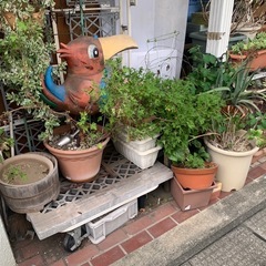 植木鉢の画像