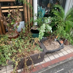 植木鉢の画像