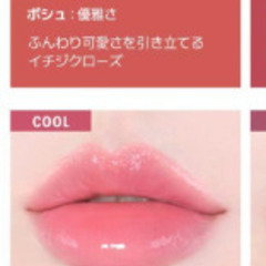 最終値下げ　半額以下‼新品未使用　BRAYE（ブレイ） リップスリークミニ   03 05の画像