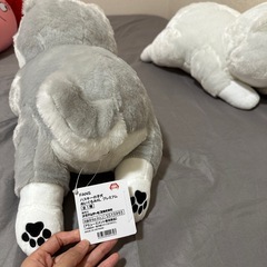 サモエドの子犬セットの画像