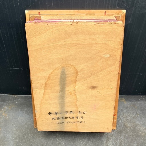 伊勢海老 エビ 剥製 ガラスケース 壁額 壁飾りロブスター標本