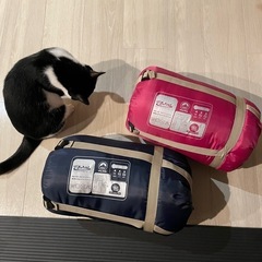 寝袋　シュラフ　未使用2個セット！　避難用品　車中泊　　の画像