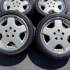 ⭐️ザウバーディッシュ⭐️の画像