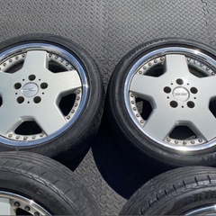 ⭐️ザウバーディッシュ⭐️の画像