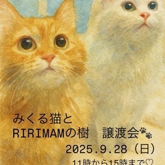 🌸🐈‍⬛譲渡会開催します🐈🌸