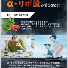 【新品】カロバーンEX サプリ 内臓脂肪 体脂肪サポート BMI改善 お腹まわり対策 ダイエット エラグ酸 α-リポ酸の画像