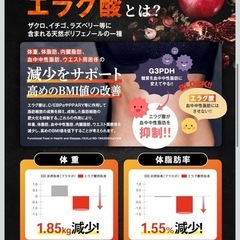 【新品】カロバーンEX サプリ 内臓脂肪 体脂肪サポート BMI改善 お腹まわり対策 ダイエット エラグ酸 α-リポ酸の画像