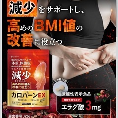【新品】カロバーンEX サプリ 内臓脂肪 体脂肪サポート BMI改善 お腹まわり対策 ダイエット エラグ酸 α-リポ酸の画像