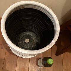 鉢の画像