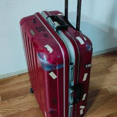 【無料】トラベルバッグ差し上げますの画像