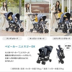 KATOJI  2人でゴーDXの画像