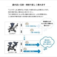KATOJI  2人でゴーDXの画像