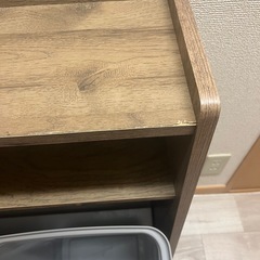 ゴミ箱収納の画像