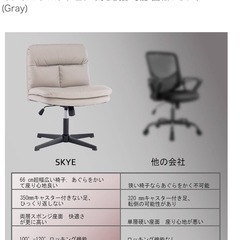 ディスクチェアーの画像