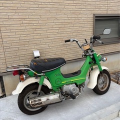 シャリー
の画像