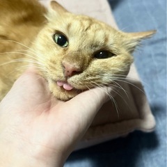 ふわり♡甘えん坊な男の子