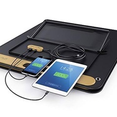 ジャクリソーラーパネルBH-SP100-C美品の画像