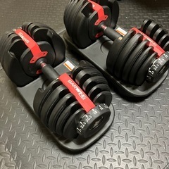 NEWモデル可変式ダンベル24kg2個セットの画像
