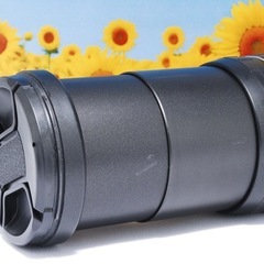 TAMRON 28-300mm F3.5-6.3 MACRO Canon EFマウント 超望遠レンズ キャノン タムロンの画像