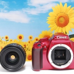 ⭐️希少カラー⭐️Canon EOS kiss X50 レンズセット⭐️レッド⭐️ EF 28-80mm SDカード付きの画像