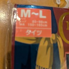 【未使用】40デニール　タイツの画像