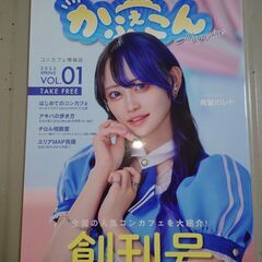 段ボール2つ　1つあたりの大きさは、横44 縦37 高さ20センチです。　DVDブルーレイまたはマクドナルドなどの商品引換券くださる方や、他の有料商品とまとめ買いの方とは優先的に取引します。　お会いするついでに電話代節約にも貢献します。　希望者には2枚目以降の商品もお付けできます。の画像