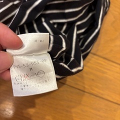 Tシャツの画像