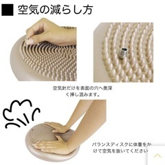 RIORES バランスクッション ポンプ付きの画像