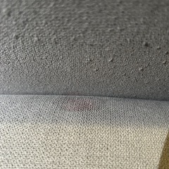 【値下げ中です！⠀】引越し予定のため早い者勝ちです！2人掛けソファナパ2 の画像