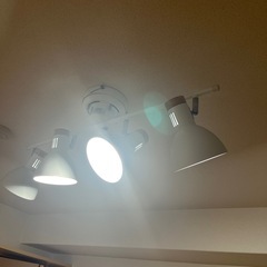 シーリングライトの画像