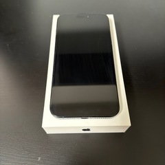 iPhone15 Pro Maxの画像