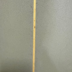 サーフボード
の画像