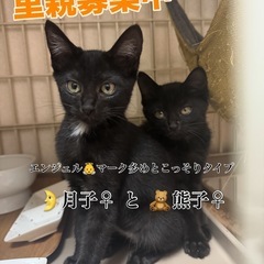 エンジェル👼マーク多めの月子ちゃん