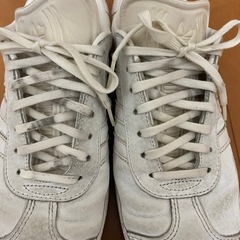 adidas gazelle  クリームホワイトの画像