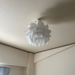 【取引決定】IKEA 花　照明　室内照明の画像