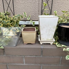 ガーデニング　屋内観葉植物用鉢ほか28点の画像