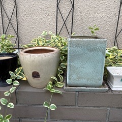 ガーデニング　屋内観葉植物用鉢ほか28点の画像