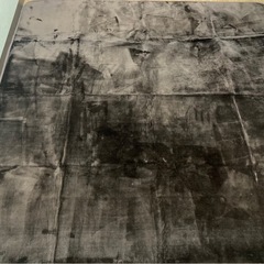 ラグの画像