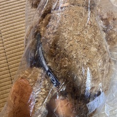 新品未開封！ショコラテディベア　ラージサイズの画像