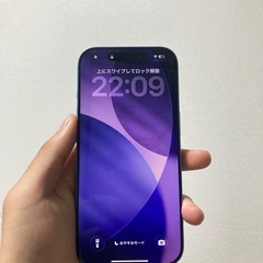 iPhone17 256GB SIMフリーの画像