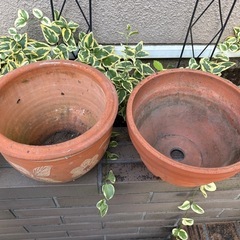 ガーデニング　テラコッタ植木鉢2点と鉢受け皿1点の画像