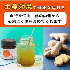 【新品未開封】【国産 無添加】 クラフトコーラ シロップとジンジャーシロップの画像