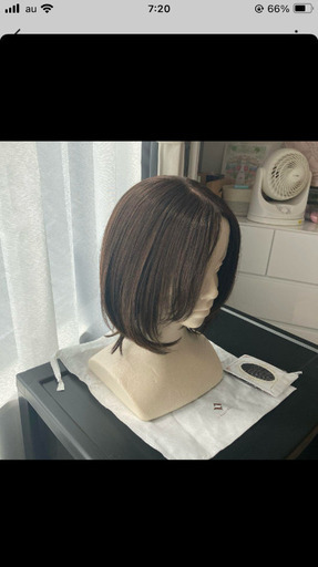 リネアストリアボブウィッグ