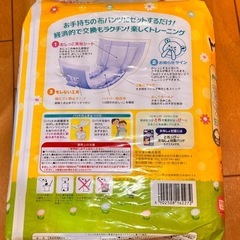  トイレ・トレーニングパッド  179枚の画像