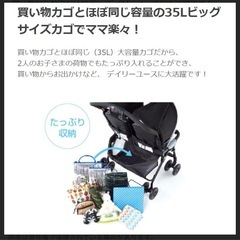 双子用ベビーカー　デュオスポーツの画像