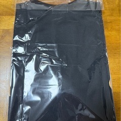 沖縄尚学 高校 優勝 CHAMPION Tシャツ L 沖尚の画像