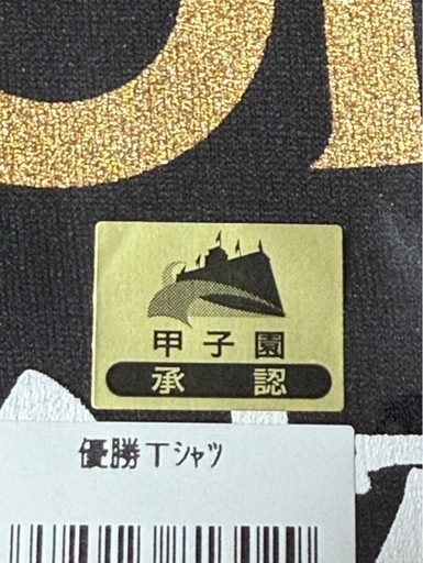 沖縄尚学 高校 優勝 CHAMPION Tシャツ L 沖尚 (やまやま) 奥武山公園の